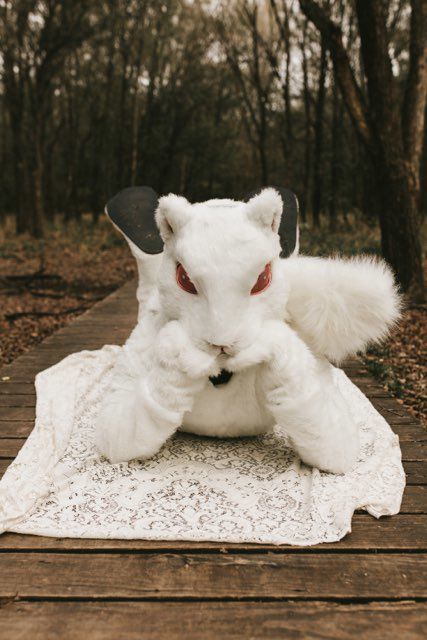 Lucky, Flying Squirrel